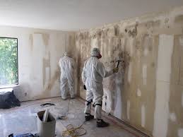 Why You Should Choose Our Mold Remediation Services in Fish Hawk, FL